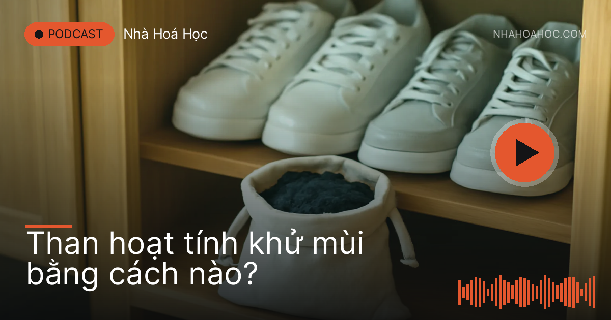 Túi vải đựng than hoạt tính đen đặt trong tủ giày gỗ